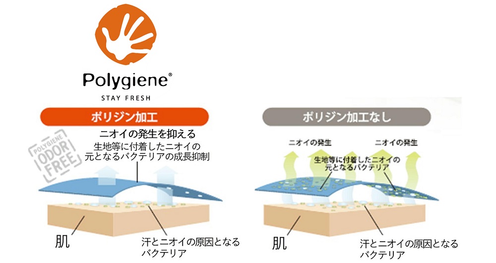 ポリジン加工ありとなしの違い