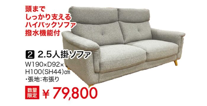 2.5人掛ソファ