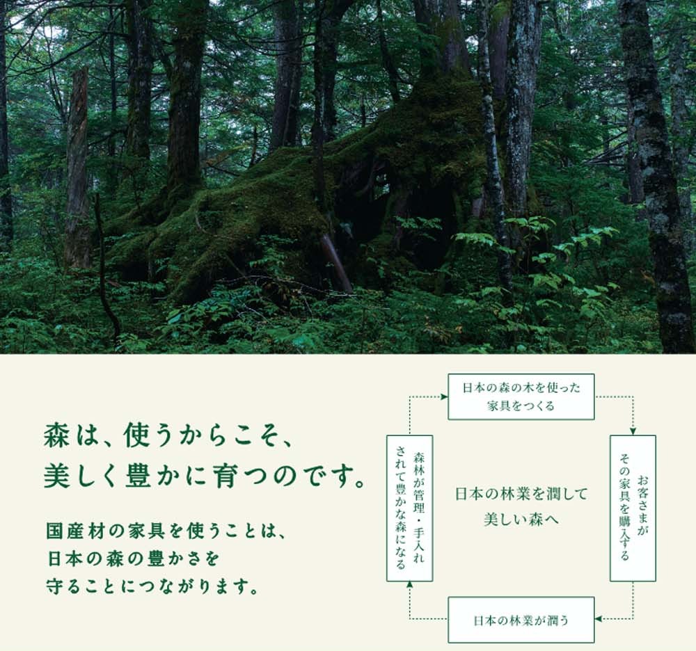 国産材の家具を使うことは、日本の森の豊かさをまもることにつながります。